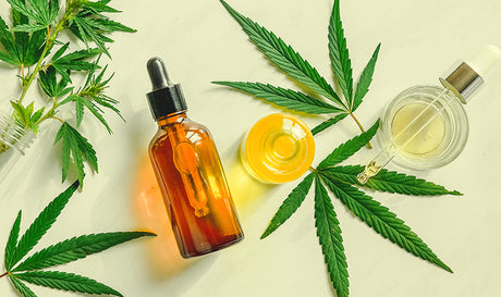 Hemp Extract Oil vs CBD Oil vs Hemp Oil