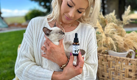 Can Cats Take CBD Oil?