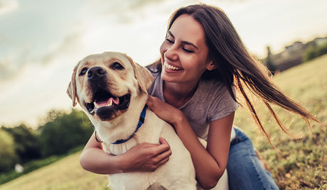 CBD Oil For Pets (Dogs, Cats, And Equine)