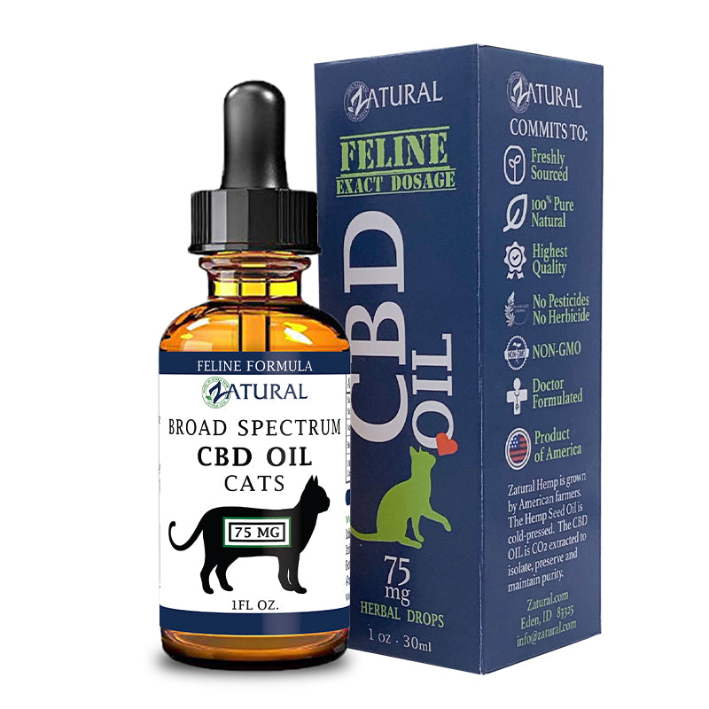 Feline CBD Oil 75mg with a box