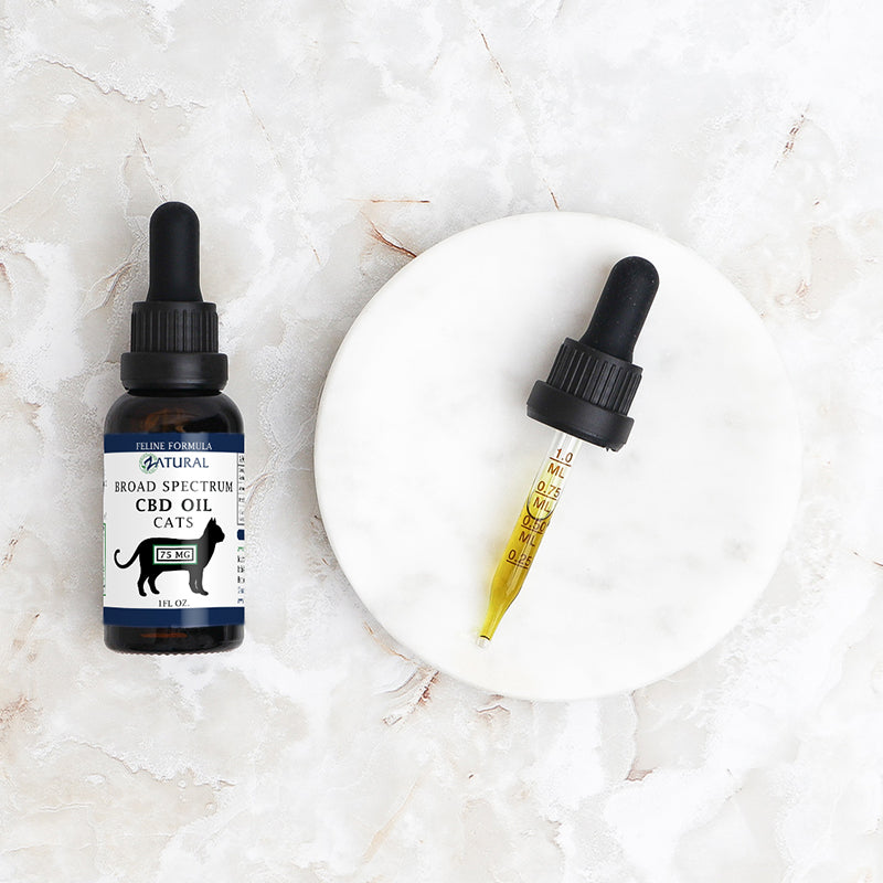 Cat CBD Oil Drops with dropper on plate