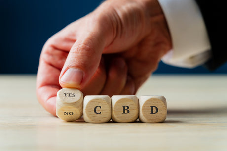 6 Possible Reasons Why CBD Isn't Working for You?