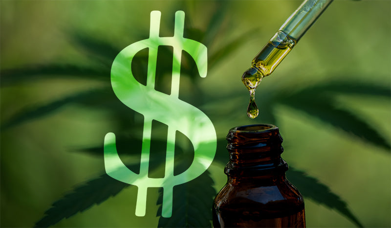 Why Is CBD So Expensive? | Let Us Explain