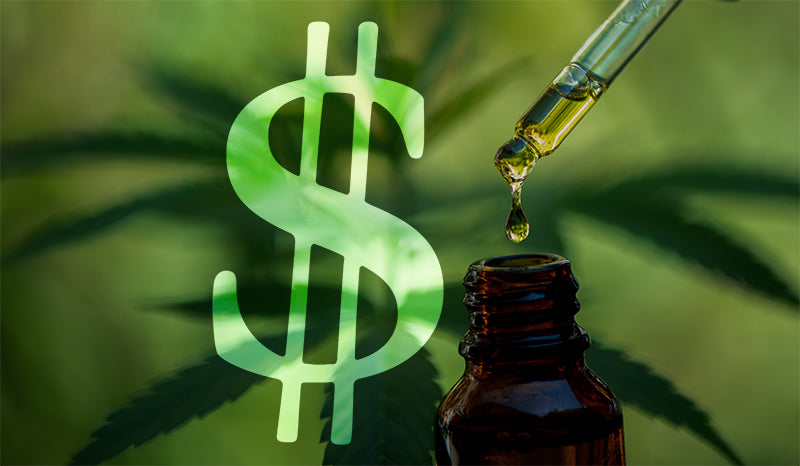 Why Is CBD So Expensive? CBD Oil Price Explained
