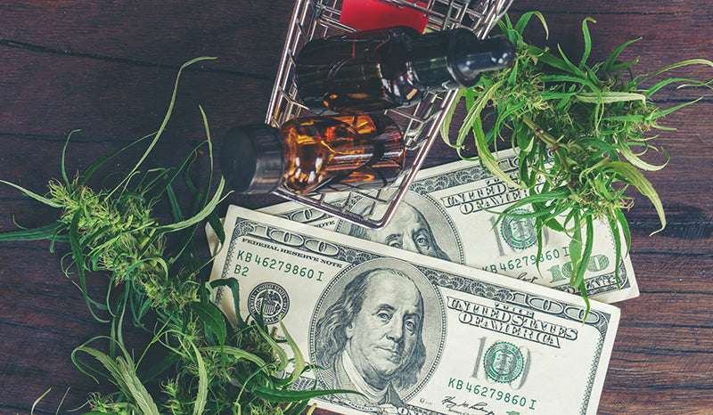 7 Things to Watch For When Buying CBD