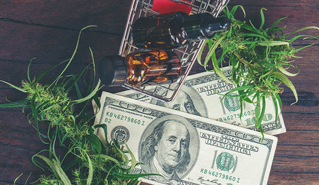 7 Things to Watch For When Buying CBD