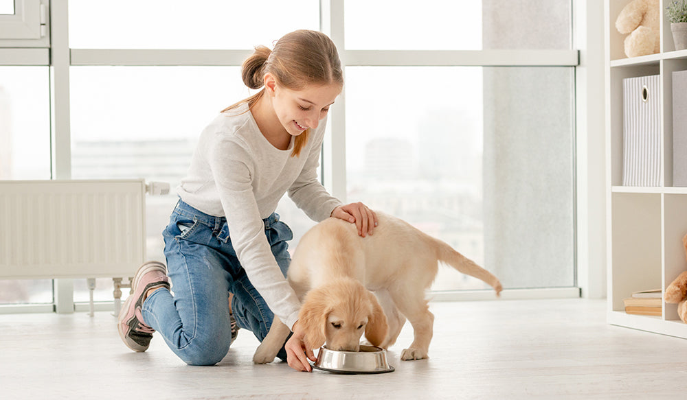 Neem Oil for Pets: Internal vs. External Uses & Safety
