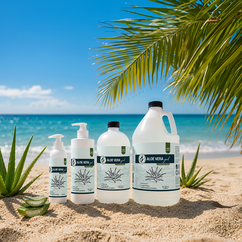 Four Aloe Vera skincare bottles and a large jug arranged on sandy beach ground with palm leaves and a blue ocean background.