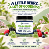 Broad Spectrum CBD Gummies - THC Removed
