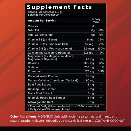 Energy + Hydration Drink Mix | 100% Natural | 90 Servings