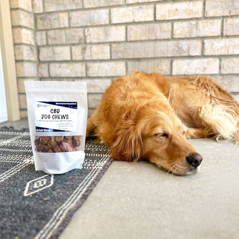 CBD Dog Soft Chews- Broad Spectrum