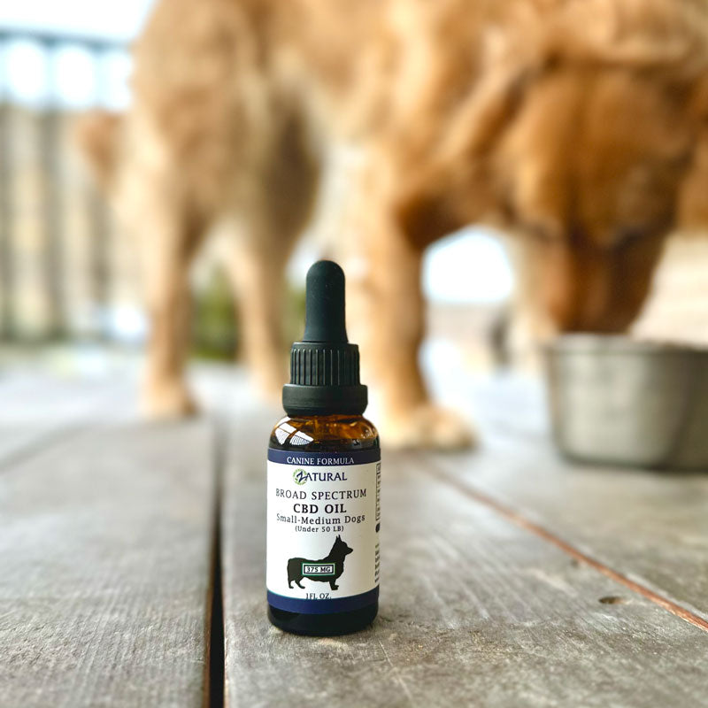 CBD Oil For Dogs | Broad Spectrum CBD