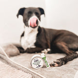 CBD Pet Balm | Paw and Nose | With Neem Oil