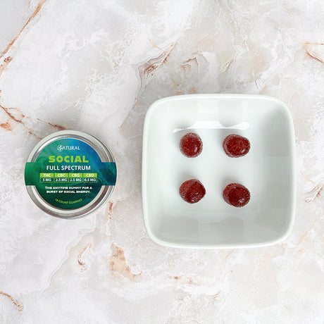 Tin labeled 'Social Full Spectrum' with four red gummy bears on a white plate on a marble surface