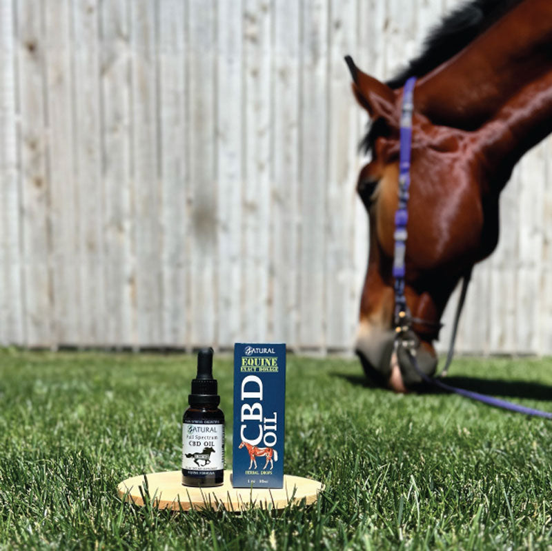 CBD Oil for Equines | Broad Spectrum CBD