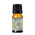 CBD Infused Tea Tree oil 10ml