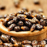 Castor seeds