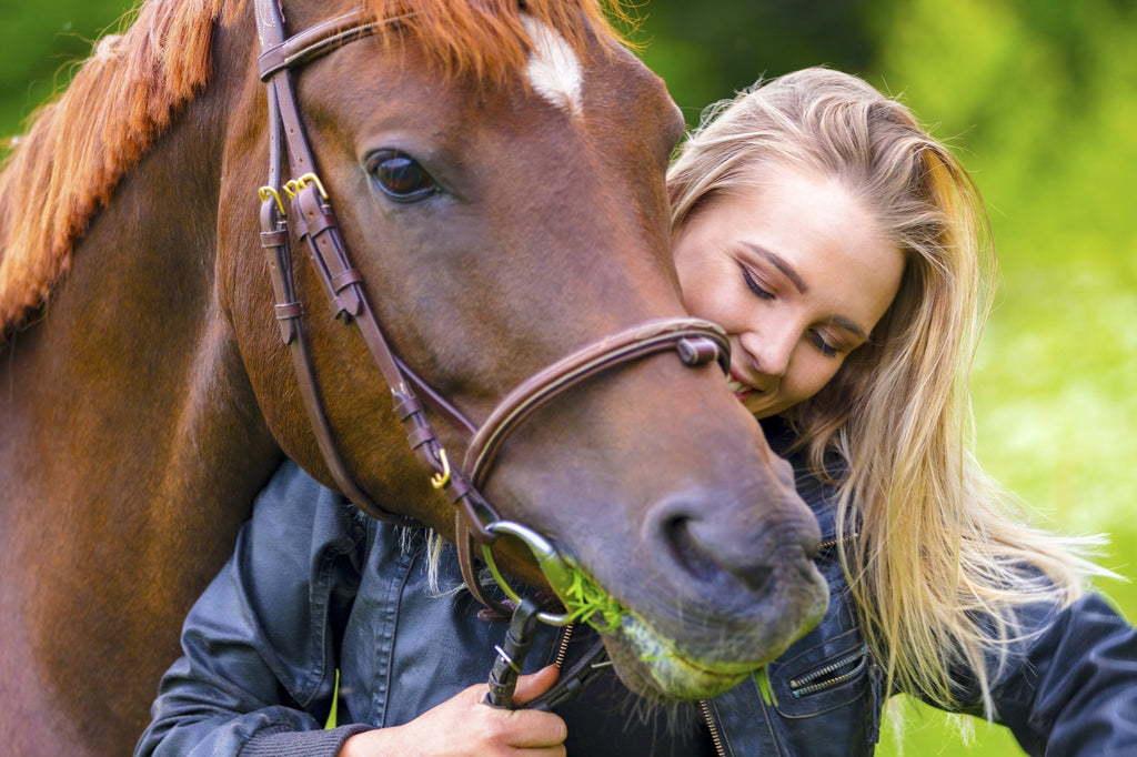 Horse with girl