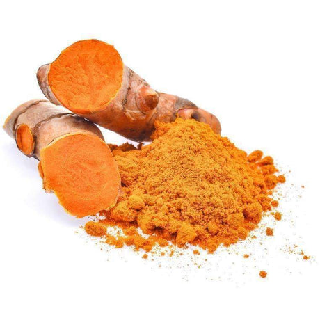 Organic Turmeric Powder Pile next to root